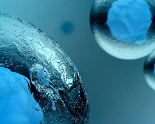 Medicina rigenerativa: obiettivo vita più lunga e migliore – The Cube Magazine